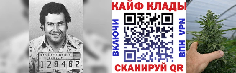 Как найти закладки Новодвинск Марихуана A PVP АМФ МЕФ Кокаин ГАШ
