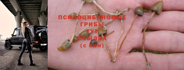 твердый Армянск