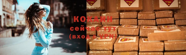 ГАЛЛЮЦИНОГЕННЫЕ ГРИБЫ Покров