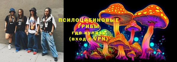соль курить ск Алексеевка