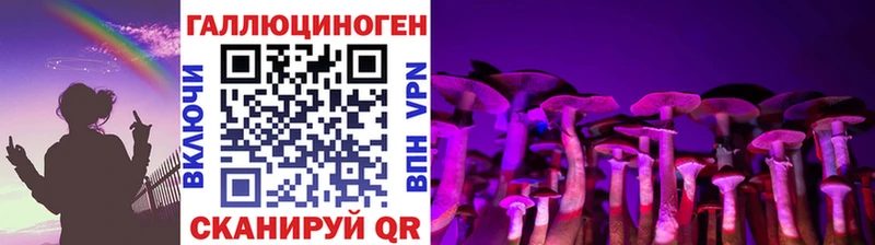 Галлюциногенные грибы Psilocybe  купить наркотики сайты  Новодвинск 