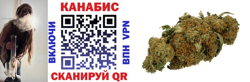 где можно купить   Новодвинск  маркетплейс как зайти  Бошки Шишки семена 